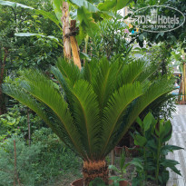 фото из отзыва ID 2714773