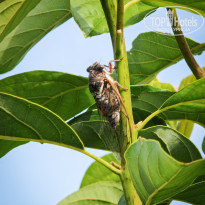 фото из отзыва ID 2714773