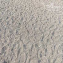 фото из отзыва ID 2714757