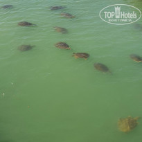 фото из отзыва ID 2714821