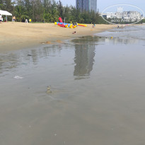 фото из отзыва ID 2714841