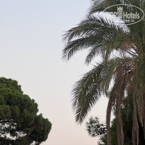 фото из отзыва ID 2714844