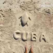 фото из отзыва ID 2714855