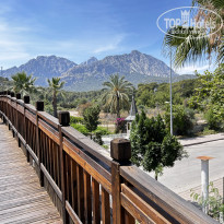 фото из отзыва ID 2714879