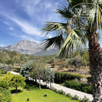 фото из отзыва ID 2714879