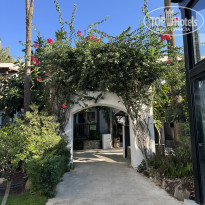 фото из отзыва ID 2714911