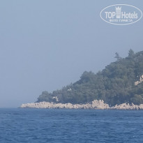 фото из отзыва ID 2714497