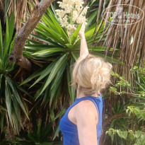 фото из отзыва ID 2714910