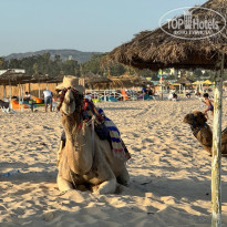 фото из отзыва ID 2714940