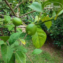 фото из отзыва ID 2714959