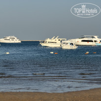 фото из отзыва ID 2714962