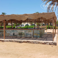 фото из отзыва ID 2714971