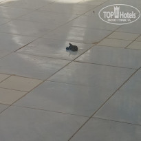 фото из отзыва ID 2714971