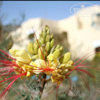 фото из отзыва ID 2715007