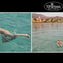 фото из отзыва ID 2715007