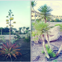 фото из отзыва ID 2715007