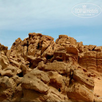 фото из отзыва ID 2715007