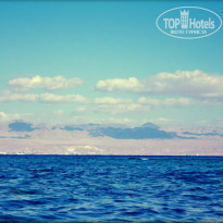 фото из отзыва ID 2715007