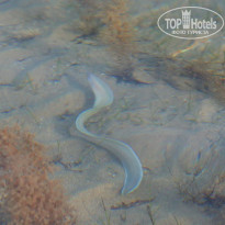 фото из отзыва ID 2715007