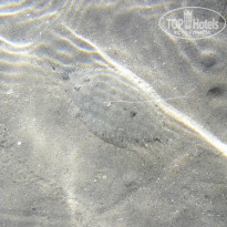 фото из отзыва ID 2715007