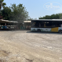 фото из отзыва ID 2715013