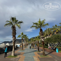 фото из отзыва ID 2715034