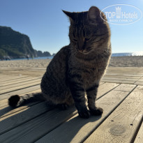 фото из отзыва ID 2715034