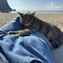 фото из отзыва ID 2715034