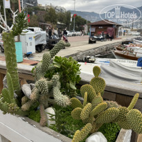 фото из отзыва ID 2715034