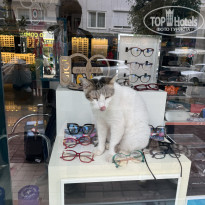 фото из отзыва ID 2715034