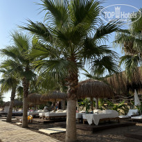 фото из отзыва ID 2715039