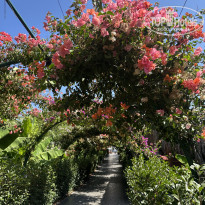 фото из отзыва ID 2715039