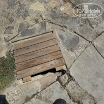фото из отзыва ID 2715042