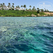 фото из отзыва ID 2715046