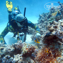 фото из отзыва ID 2715065