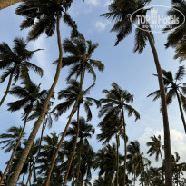 фото из отзыва ID 2715085