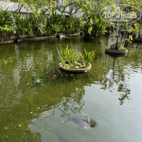 фото из отзыва ID 2715085