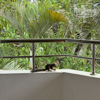 фото из отзыва ID 2715085