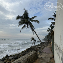 фото из отзыва ID 2715085