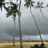 фото из отзыва ID 2715085