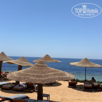 фото из отзыва ID 2715096