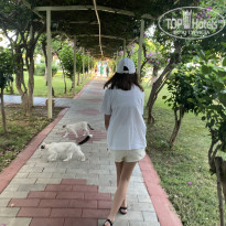 фото из отзыва ID 2715108