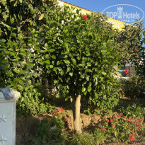 фото из отзыва ID 2715108