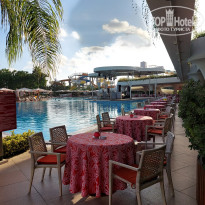 фото из отзыва ID 2715178