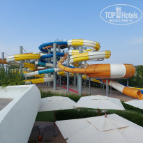 фото из отзыва ID 2715178