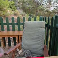 фото из отзыва ID 2715207