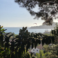 фото из отзыва ID 2715207