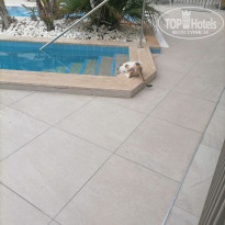 фото из отзыва ID 2715245