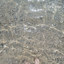 фото из отзыва ID 2712651