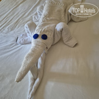 фото из отзыва ID 2712651